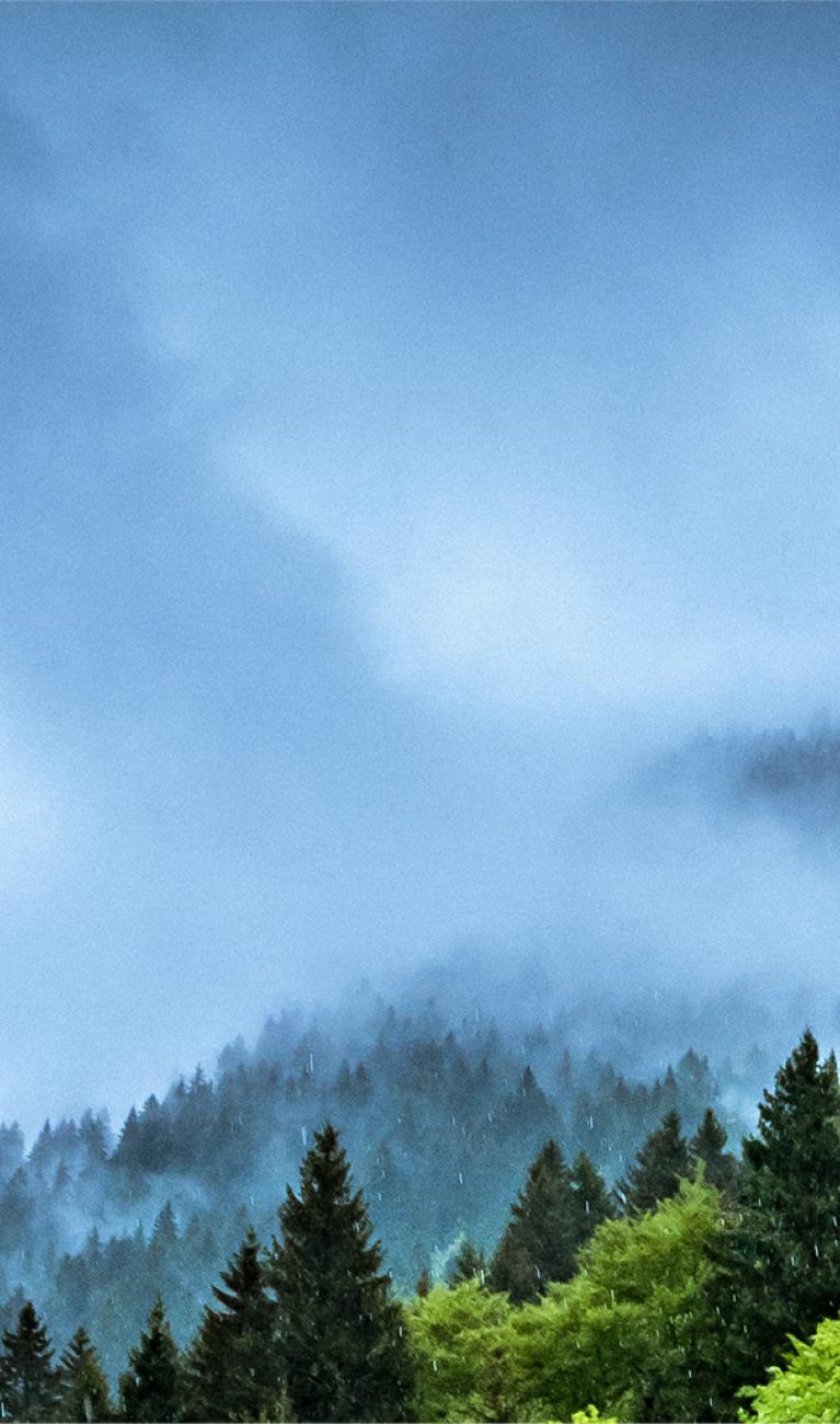 Berglandschaft